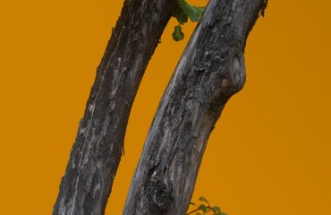 unsplash-luks-katamaranlar-katamaran-turleri